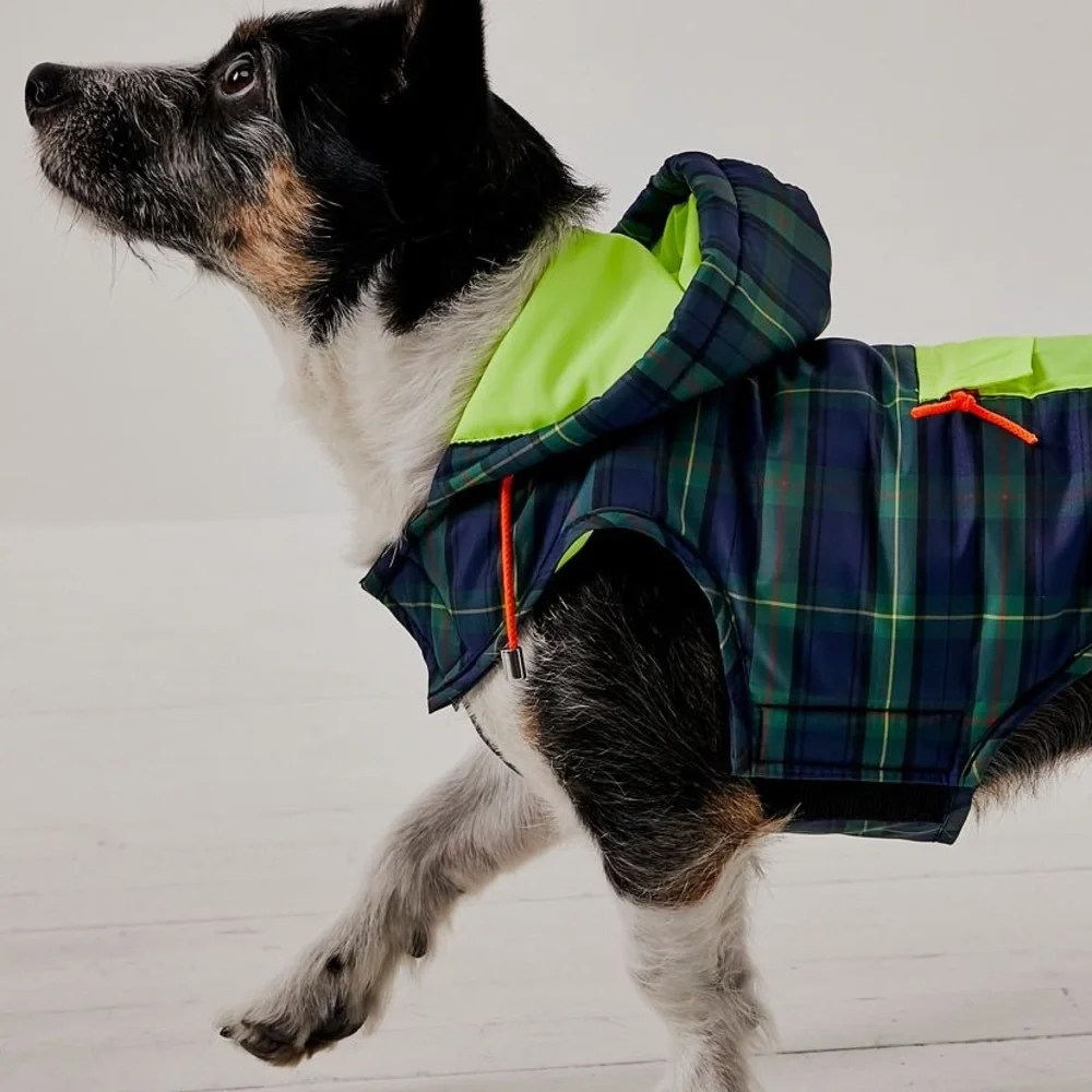 NWT Free People X Ware of the Dog Green and Blue Dog Jacket